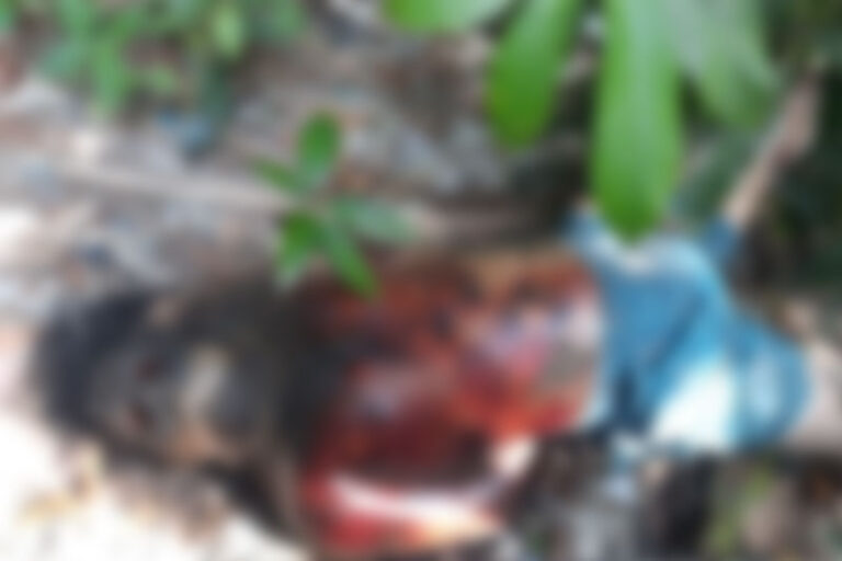 Podridão: corpo de homem sem os olhos é encontrado em área de mata no Jorge Teixeira, em Manaus