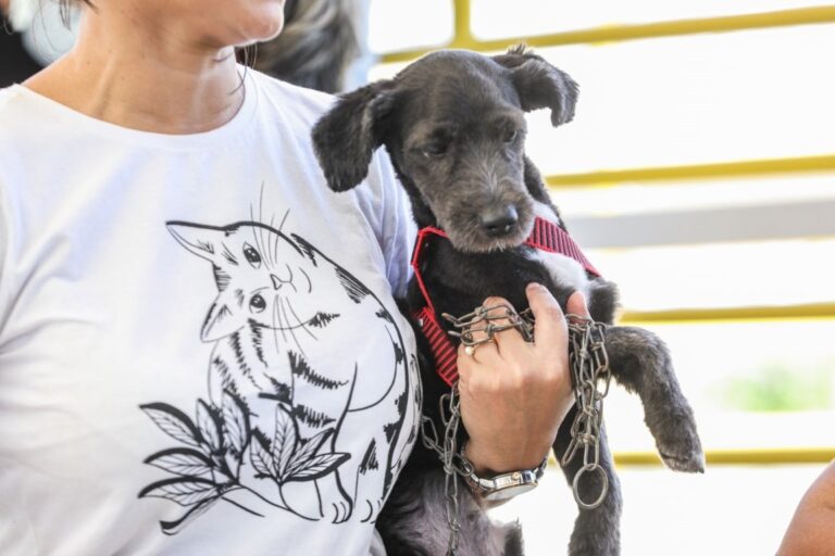 Lei estabelece de 2 a 5 anos de reclusão para crimes contra cães ou gatos
