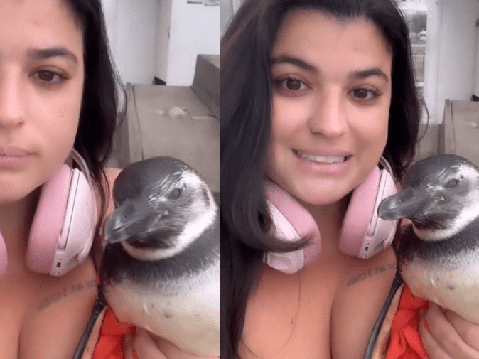 VÍDEO: Mulher acha pinguim no RJ e alerta sobre resgate adequado das aves: "Queriam dar pão"