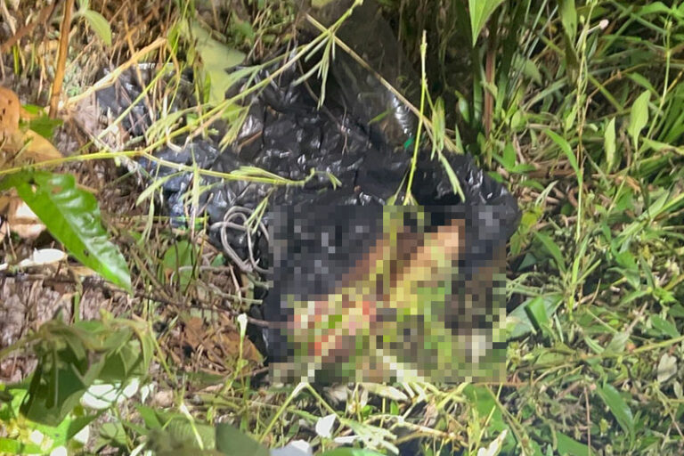 Arrancadas: pernas são encontradas em área de mata de Manaus