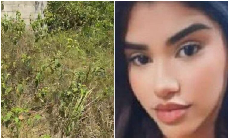 Corpo encontrado em matagal no Tarumã é de mulher desaparecida