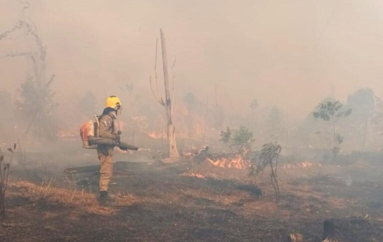Bombeiros combatem 80 focos de incêndio em área de pasto, em Apuí