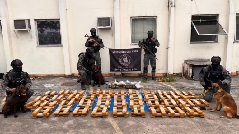 Uma tonelada de maconha é apreendida dentro de escola municipal no RJ