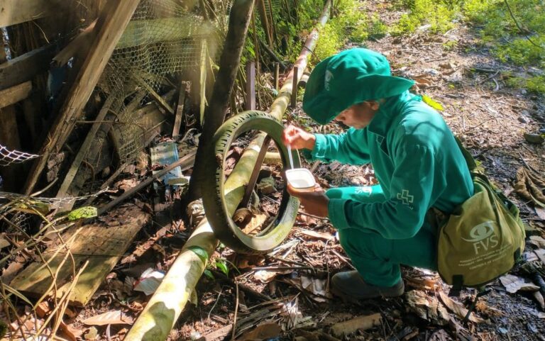 Número de mortes por dengue sobe para 4 no Amazonas