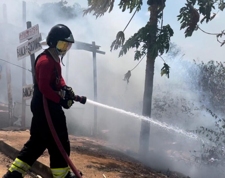 Incêndio em vegetação de grandes proporções é contido em Iranduba
