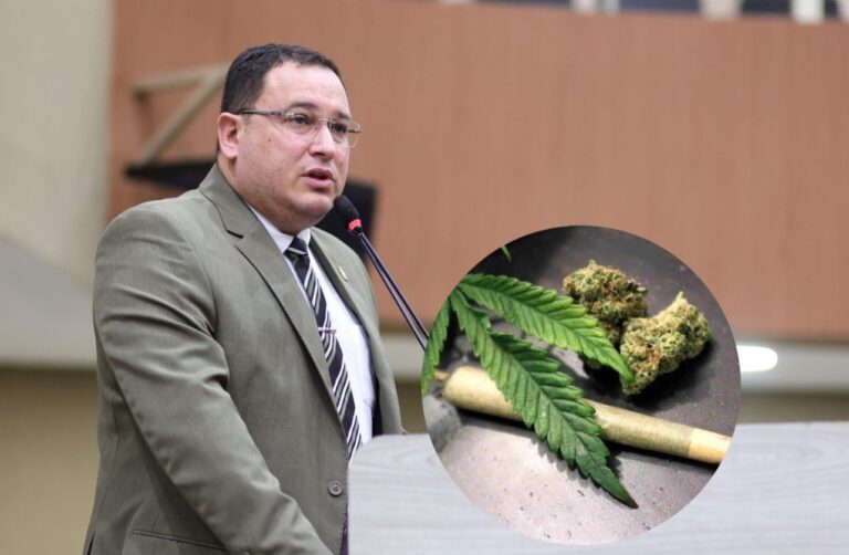 O vereador Raiff Matos (PL) afirma que a prefeitura vai regulamentar a Lei da maconha.