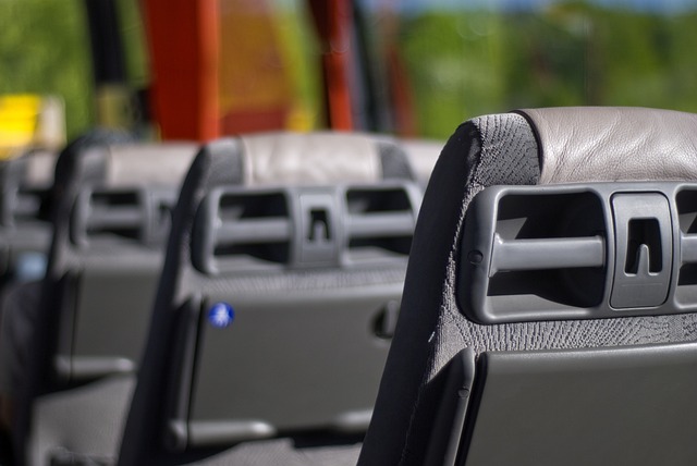 Linhas de ônibus e trânsito serão alterados para o ‘Sou Manaus Passo a Paço’; confira