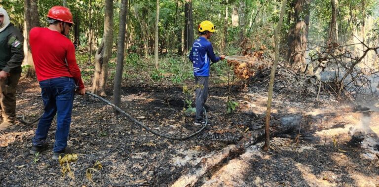 Unidades de Conservação do Baixo Rio Negro recebem ações de combate integrado a focos de incêndio