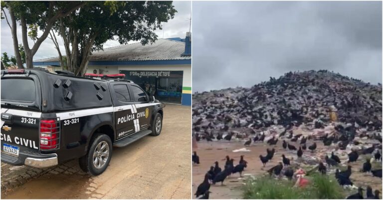 Padrasto estupra enteada em lixão no município de Tefé Padrasto estupra enteada em lixão no município de Tefé