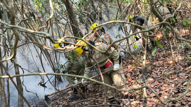 Mais de 30 focos de incêndio foram registrados neste fim de semana em Iranduba