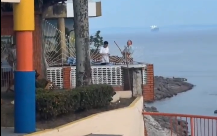 VÍDEO: dono de restaurante solta fogos de artifício em árvore para matar periquitos em Itacoatiara