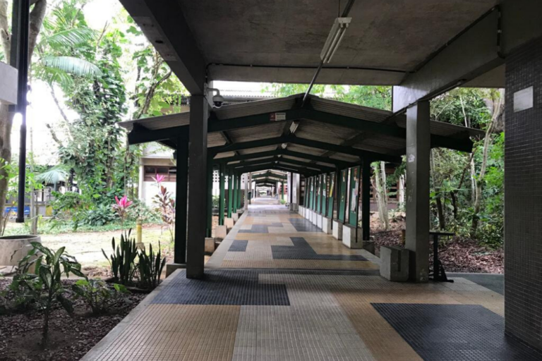Ufam e UEA autorizam aulas remotas em razão das condições climáticas no Amazonas