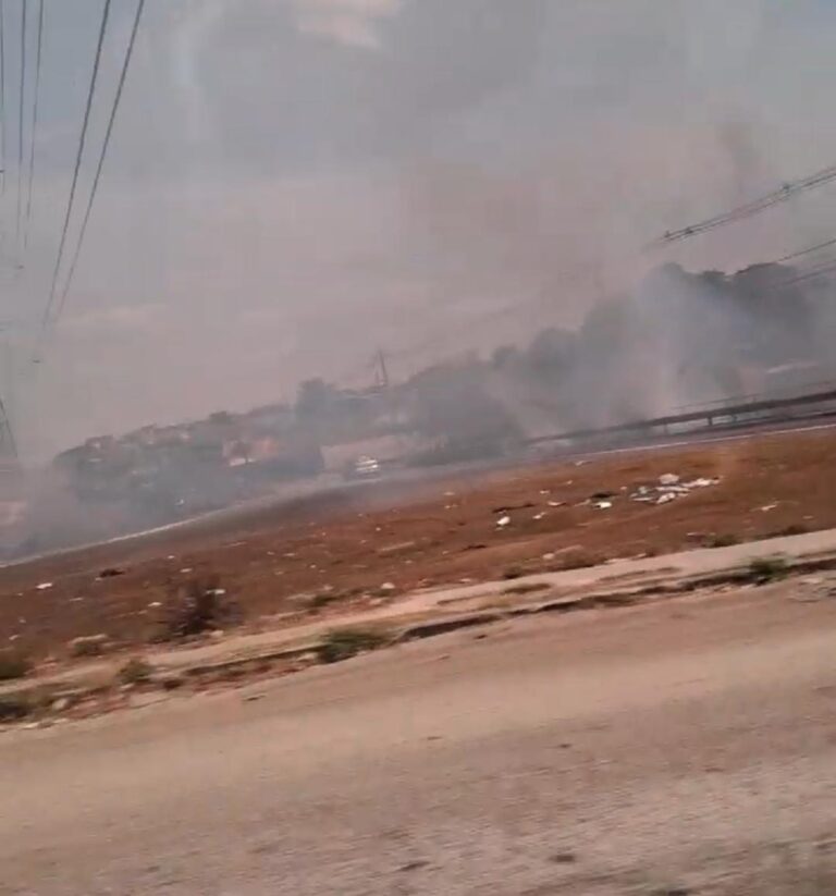VÍDEO: Incêndio atinge área de mata na avenida das Flores 