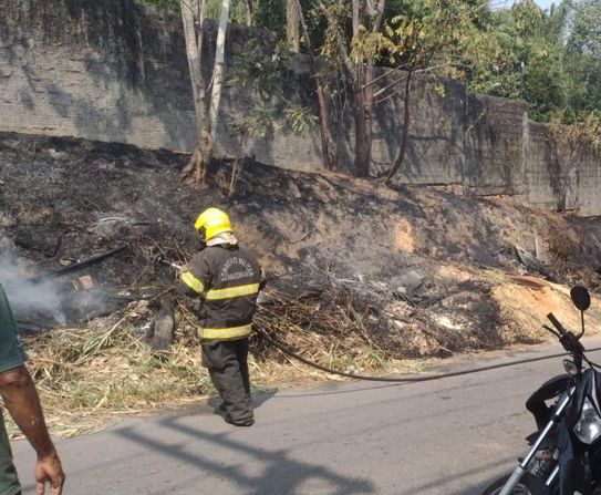 VÍDEO: Homem é flagrado ateando fogo em aréa externa do parque do Inpa