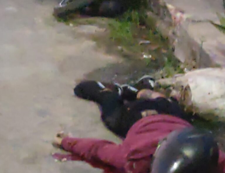 VÍDEO: Suposto ladrão agoniza em sarjeta após ser baleado no Santa Etelvina