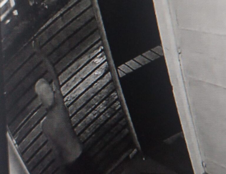 Suspeito de cometer diversos furtos no bairro Japiim é preso