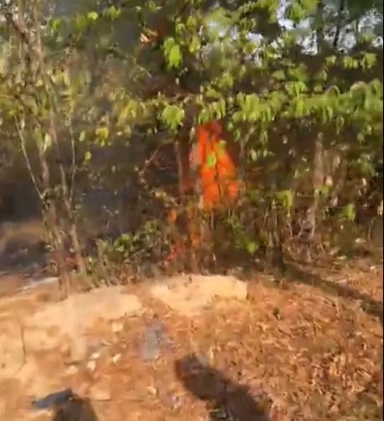 VÍDEO: Área de mata é atingida por incêndio na Avenida Djalma Batista