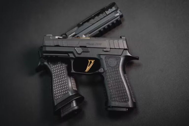 CCJ do Senado aprova porte de arma para agentes socioeducativos e oficiais de justiça