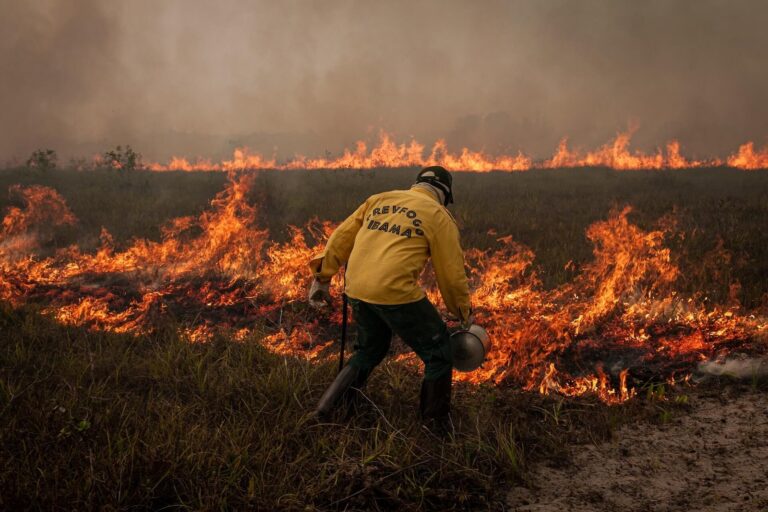 Seminário internacional do G20 realizado em Manaus alerta: "Amazônia pede socorro"