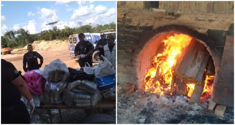 Polícia incinera cerca de 200 quilos de maconha no município de Barcelos, no AM