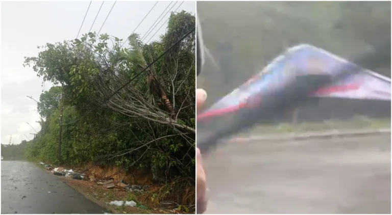 VÍDEO: temporal derruba árvores neste domingo de eleição em Manaus