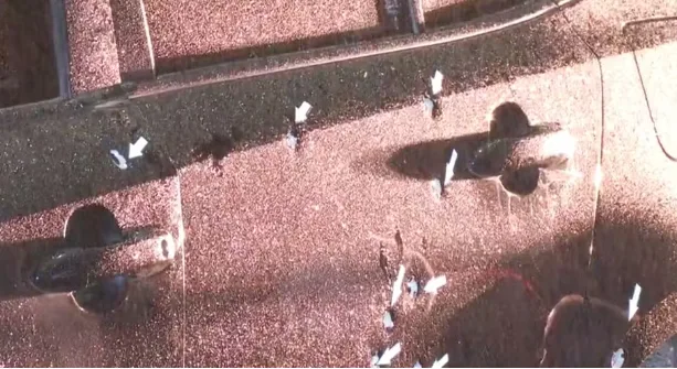 Criminosos em moto atiram contra carro de vereadora em São Paulo