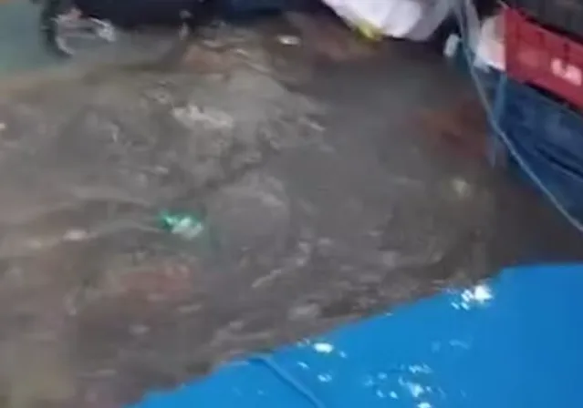 VÍDEO: Água invade barco e desespera passageiros durante viagem de Belém para Macapá
