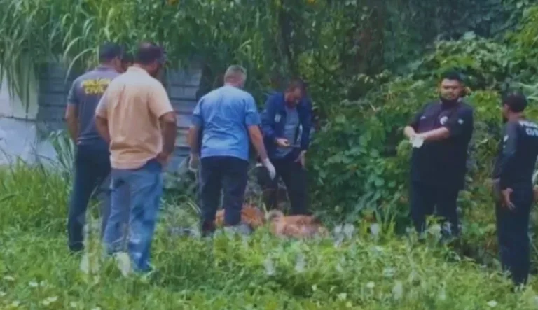 Corpo com braços decepados é encontrado em matagal no bairro Adrianópolis