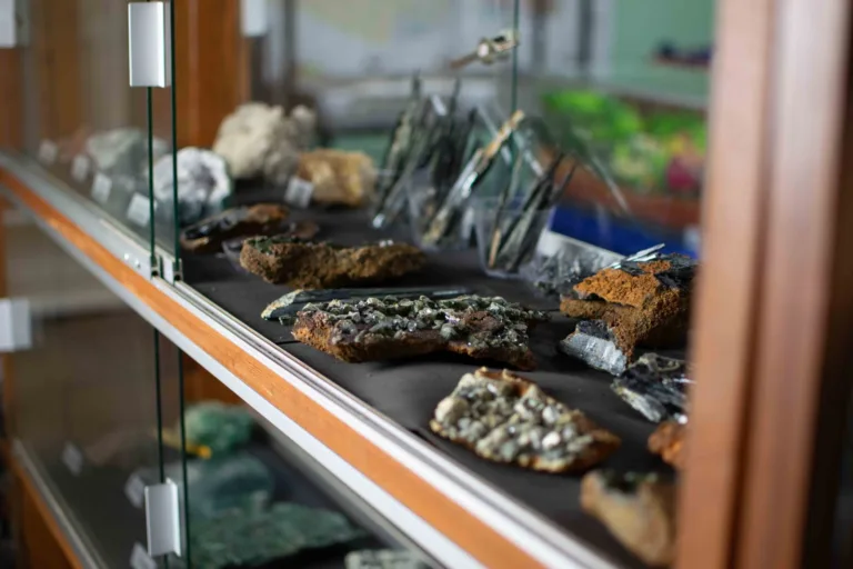 Itacoatiara recebe a 4ª Feira de Exposição e Experimentoteca de Solos do Médio Amazonas
