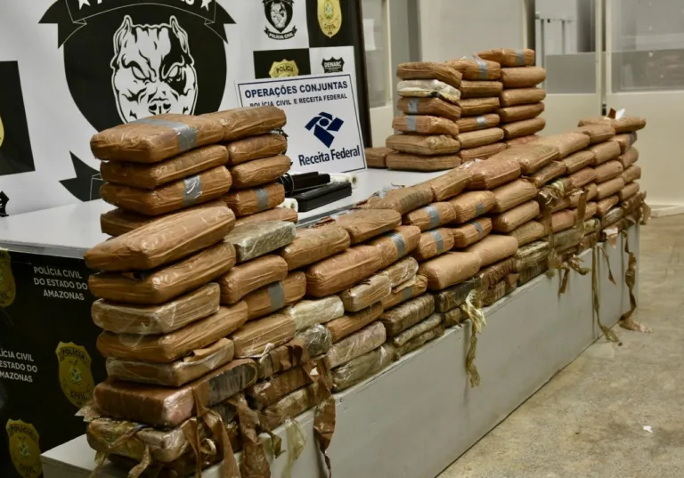 Maconha apreendida estava escondida em casa de traficante no Colônia Terra Nova