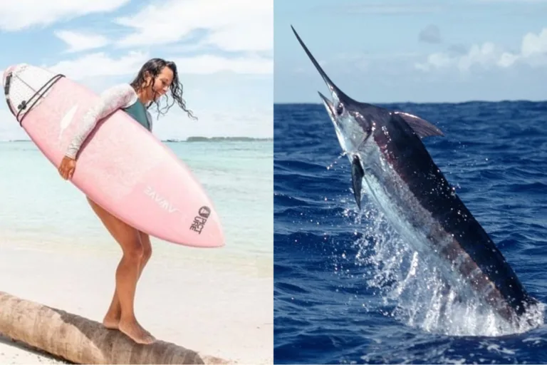 Surfista italiana Giulia Manfrini morre após ser atingida por peixe marlim na Indonésia Surfista italiana Giulia Manfrini morre após ser atingida por peixe marlim na Indonésia