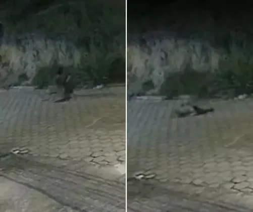 VÍDEO: No ES, idosa é ‘engolida’ por buraco que se abriu no meio da rua