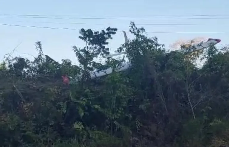 VÍDEO: Avião cai em área de mata próximo à fiação elétrica na BR-174