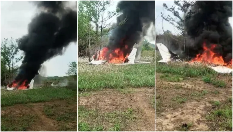 VÍDEO: Avião cai e pega fogo no município de Lábrea; aeronave teria sido abatida pela Força Aérea