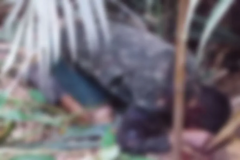 De joelhos: homem é encontrado morto em ramal na AM-010