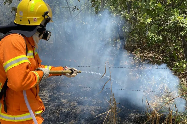 Amazonas registra mais de 20 mil focos de incêndio