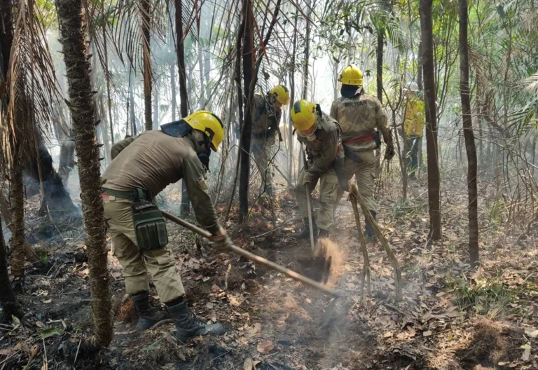 Amazonas registra mais de 6,6 mil focos de incêndio em setembro