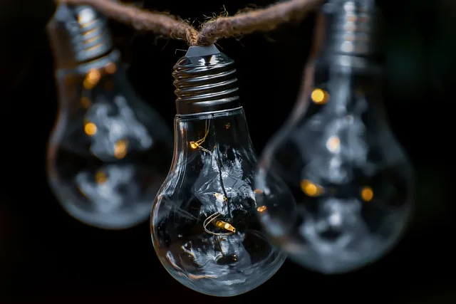 Comunidade fica sem energia após queda de 22 postes na BR-319