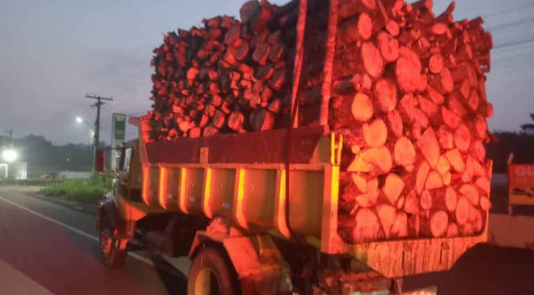 Dupla é presa carregando madeira irrelugar em Manacapuru