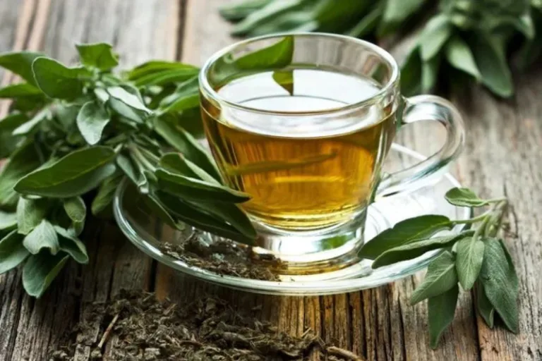 Chá verde: bebida ideal para combater insônia, preservar memória e rejuvenescer pele