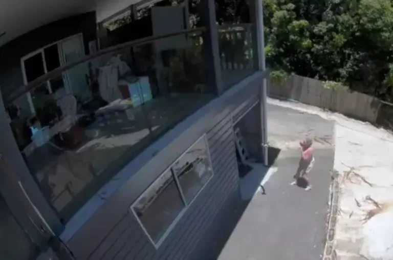 VÍDEO: Cobra despenca de porta de garagem e assusta moradora na Austrália