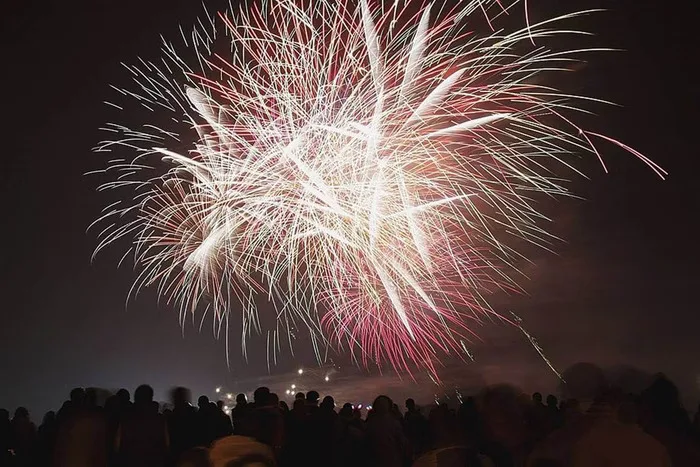 Justiça de SP condena mulher por morte de cavalos após susto provocado por fogos de artifício