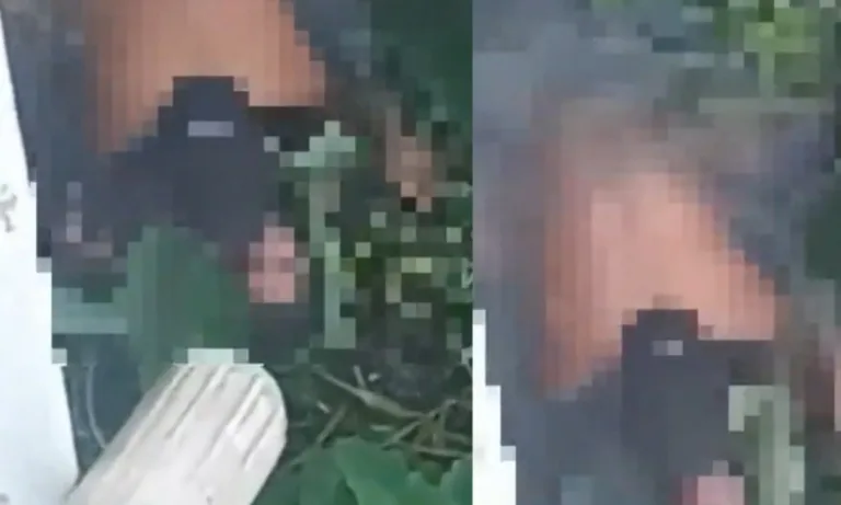 VÍDEO: Casal é flagrado em ato sexual à beira de igarapé em Manaus