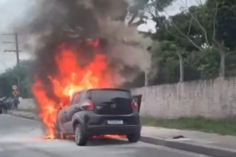 Carro ficou parcialmente destruído pelo fogo (Foto: Reprodução)