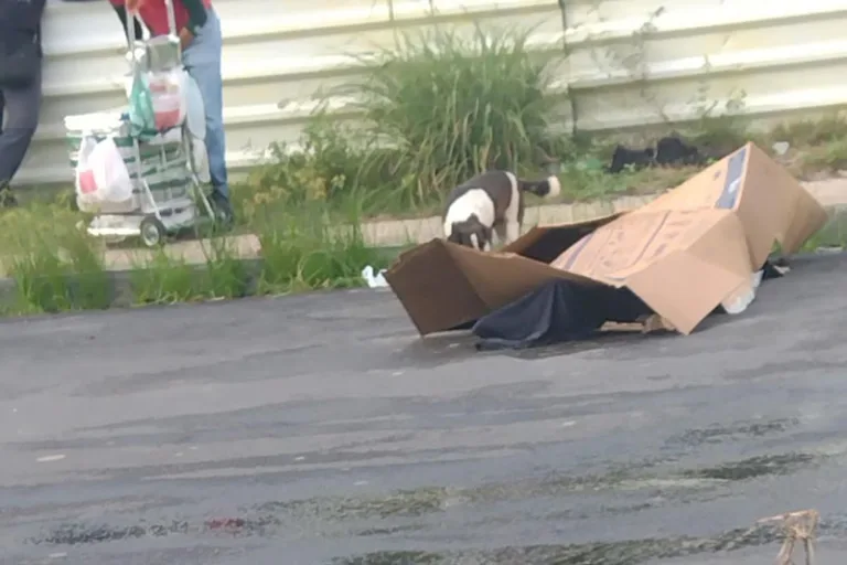 IMAGENS FORTES: Moradores encontram corpo em área de mata no Viver Melhor, em Manaus