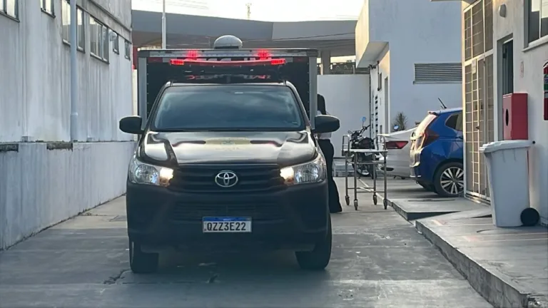 Remoção do corpo (Foto: Divulgação)