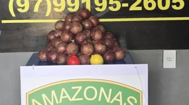 Polícia apreende 16 quilos de drogas disfarçados de cebolas no Amazonas