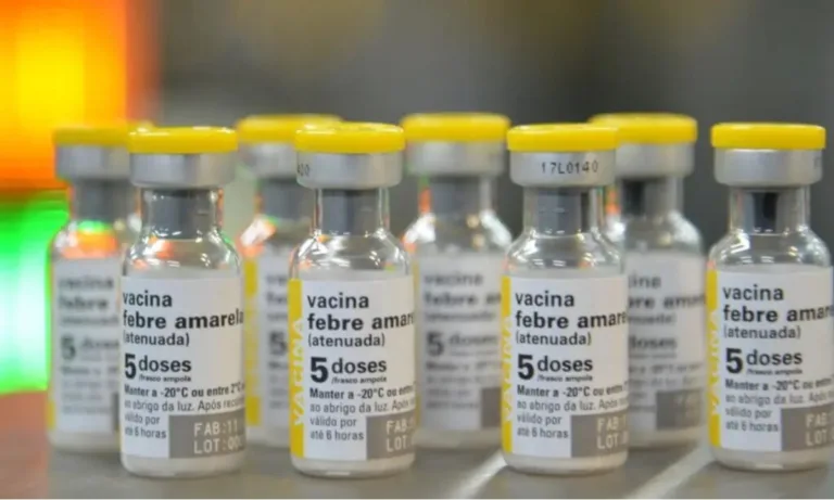 Em 2024, o estado registrou dois casos de febre amarela em humanos