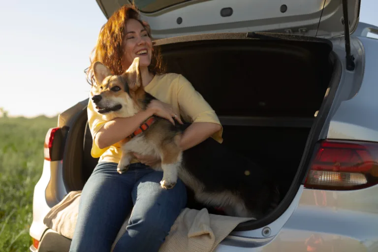 Especialista explica cuidados essenciais ao viajar com o pet