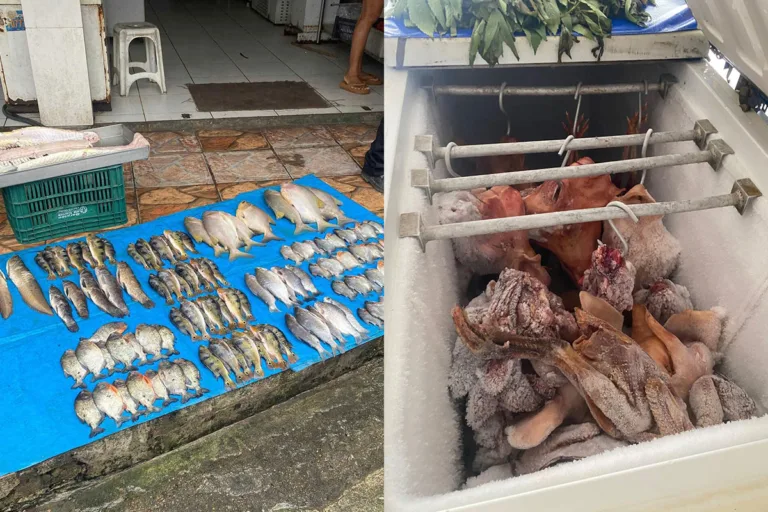 Dona de frigorífico é presa por maus-tratos a animais e venda de pescado ilegal
